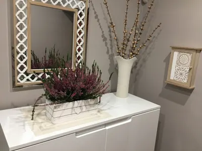 Agnieszka Brańczyk, Seksuolog